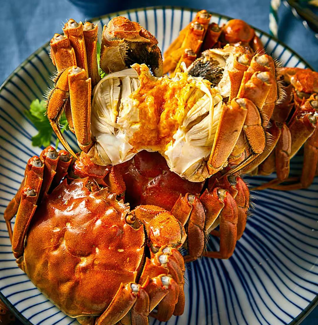 2025正宗阳澄湖大闸蟹