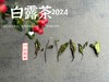 【2024白露茶】清新沁凉，带着清鲜之山野气韵的甜花香，空灵、甜美（1斤收藏装） 商品缩略图4