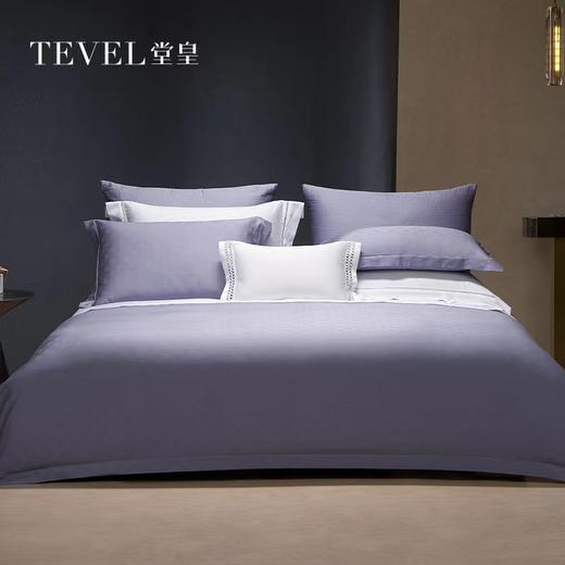6F堂皇家纺 长绒棉四件套品尚 商品图0