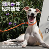 zeze纽纽宠物牵引绳-B （包邮） 商品缩略图2