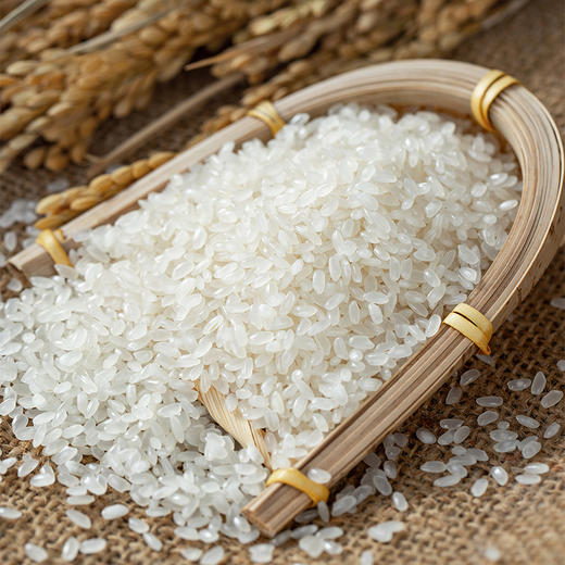 【助农】江城百臻长粒香大米5kg 商品图4