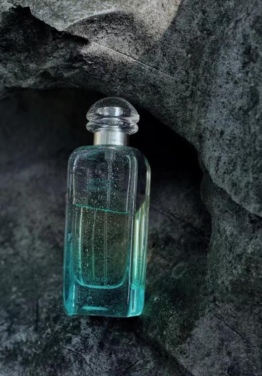 原香税仓小瑕疵爱马尼罗河花园香水 商品图6