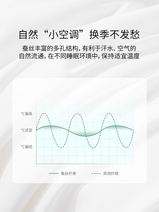 佳丽斯100%蚕丝被子全棉纯棉春秋被冬被四季通用加厚被芯2024新款 商品图4