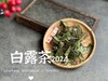 【2024白露茶】清新沁凉，带着清鲜之山野气韵的甜花香，空灵、甜美（1斤收藏装） 商品缩略图1