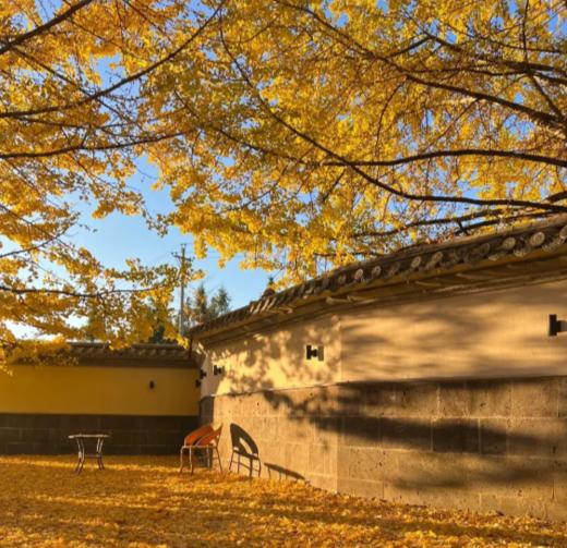 【云南·腾冲】西南边陲 5天4晚·2~6人私家团·和顺古镇+北海湿地+热海+银杏村 商品图4