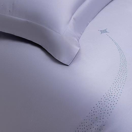 6F堂皇家纺长绒棉四件套/星悦 商品图4