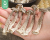宁德古田精选鹿茸菇（250g/包）生产日期: 12月 商品缩略图2