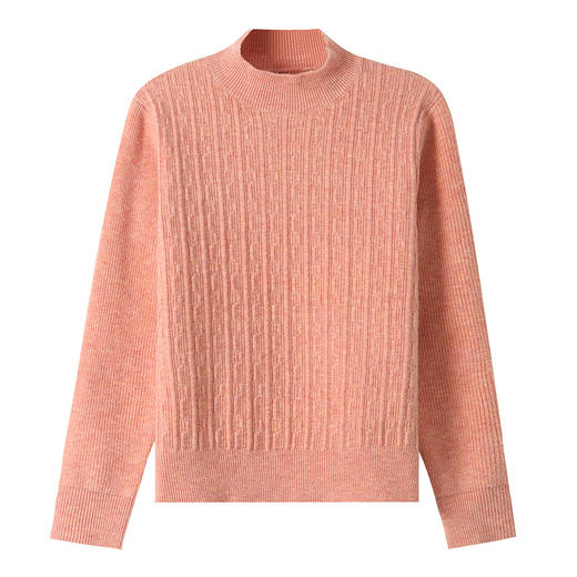 CC-101-36803半高领纯色毛衣女士秋冬2024新款洋气百搭针织打底衫内搭 商品图4