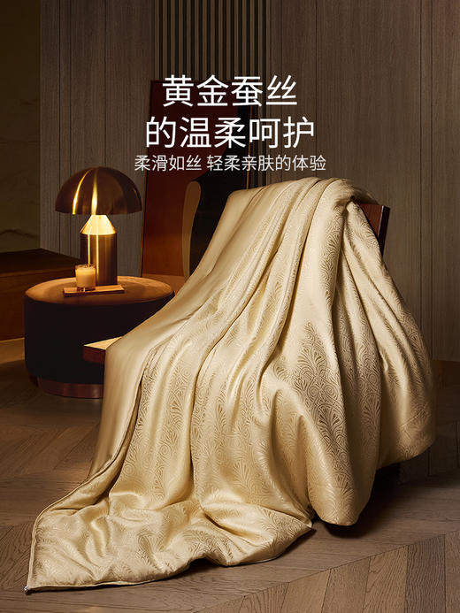 佳丽斯黄金丝蚕丝被子纯手工桑蚕丝冬被芯加厚保暖官方旗舰店正品 商品图3