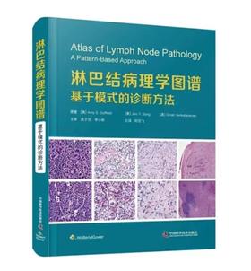 淋巴结病理学图谱：基于模式的诊断方法