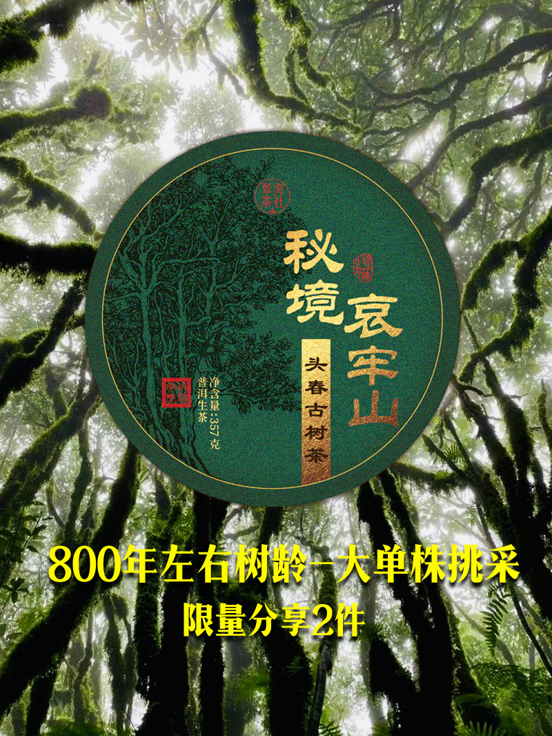 【秘境·哀牢山】800年古树茶