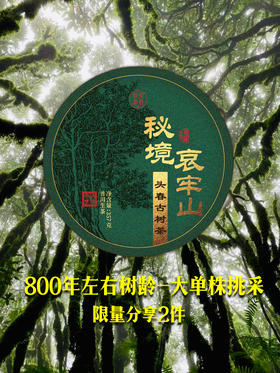 【秘境·哀牢山】800年古树茶