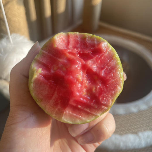 芭乐妹妹 奶油芭乐 净重4.5-5斤/箱 商品图7