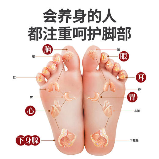 【50贴大盒装！秋冬养生足贴】广药白云山老北京足贴 晚上贴早上撕 安心好眠 草本配方 温和不刺鼻 商品图2