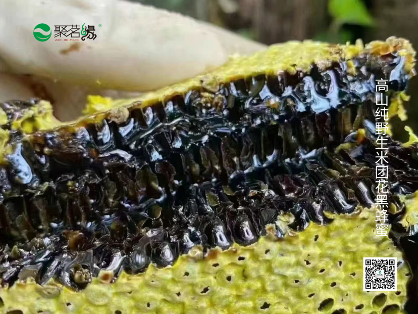 #谷梁好物分享 ｜【米团花黑蜂蜜】大自然的馈赠，云南高海拔森林纯野生，花香甜蜜，爽口绵润，花青素含量高，营养价值高！少量采收，确保真品，规格：500g*1瓶