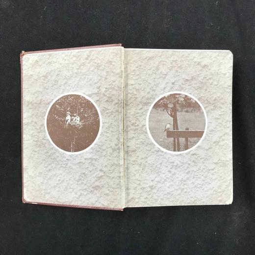 1934年 不列颠群岛鸟类图鉴 68幅彩色与68幅黑白插图 漆布精装36开 商品图2