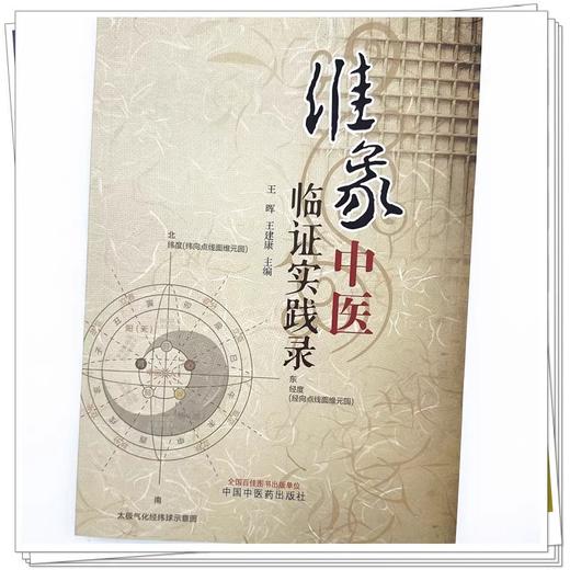 维象中医临证实践录 维象中医概论 气和气化的概念及渊源 象的本义及延伸 脉理之象 编王晖 王建康 9787513288668中国中医药出版社 商品图4