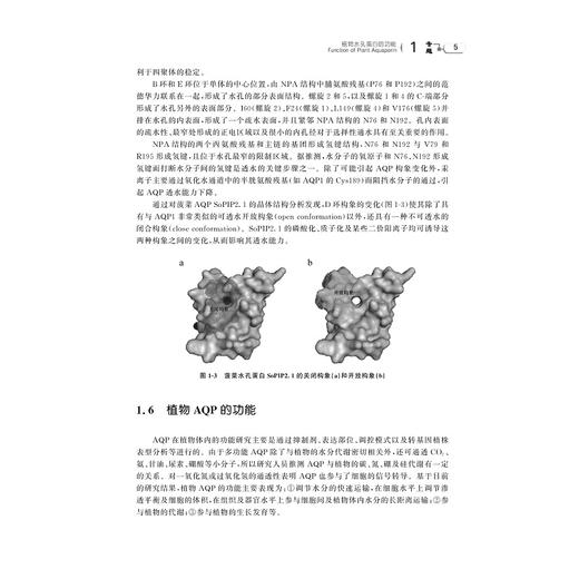 高级植物生理学（第二版）/主编 郑炳松 袁虎威 陆开形 郝明灼/浙江大学出版社 商品图4