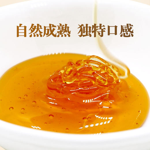 小茴香蜂蜜350g 独特香气 珍贵小蜜源蜜种 自然成熟优质原蜜 商品图1