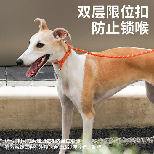zeze纽纽宠物牵引绳-B （包邮） 商品图3