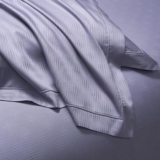 6F堂皇家纺 长绒棉四件套品尚 商品图2