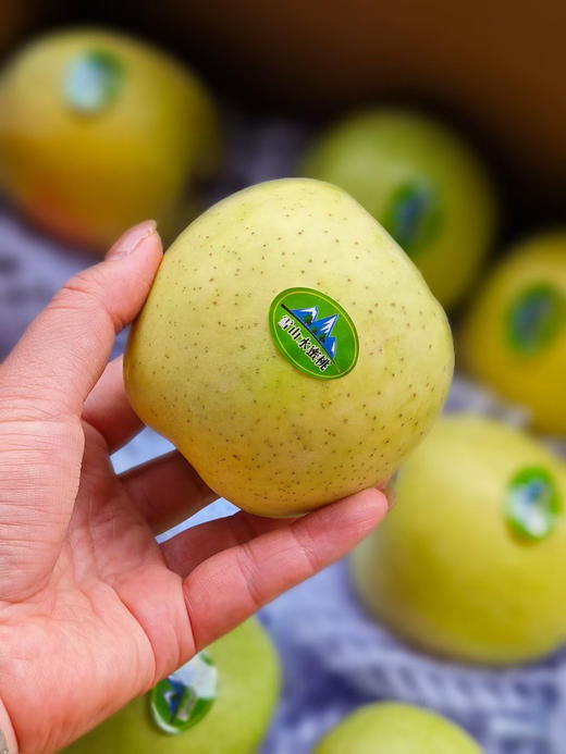 新疆王林苹果，小果，有机种植，皮薄，甜度高！毛重4.8-5斤 商品图1