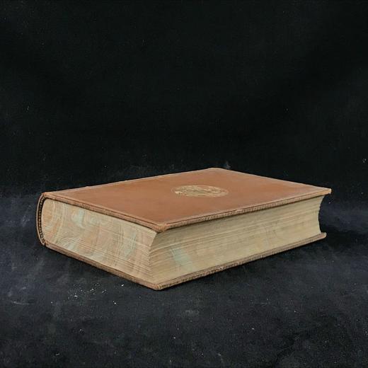 1904年 通俗自然史 600余幅插图（含多幅彩色） 全真皮精装大32开 商品图1