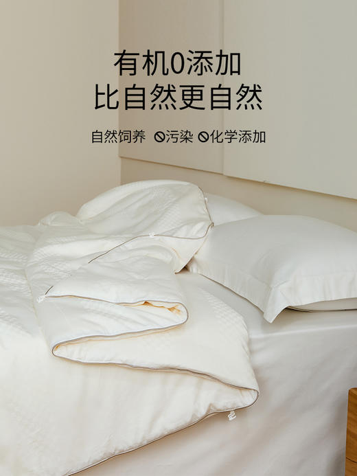 佳丽斯100%蚕丝被子全棉纯棉春秋被冬被四季通用加厚被芯2024新款 商品图2