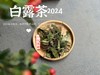 【2024白露茶】清新沁凉，带着清鲜之山野气韵的甜花香，空灵、甜美（1斤收藏装） 商品缩略图2