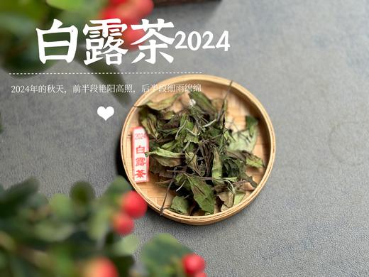 【2024白露茶】清新沁凉，带着清鲜之山野气韵的甜花香，空灵、甜美（1斤收藏装） 商品图2