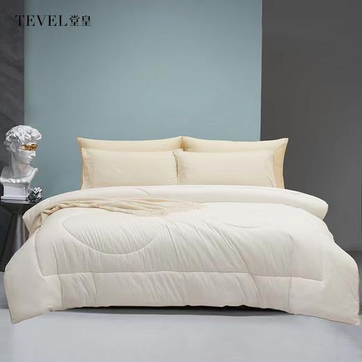 6F 堂皇家纺 禧悦春秋被 商品图0