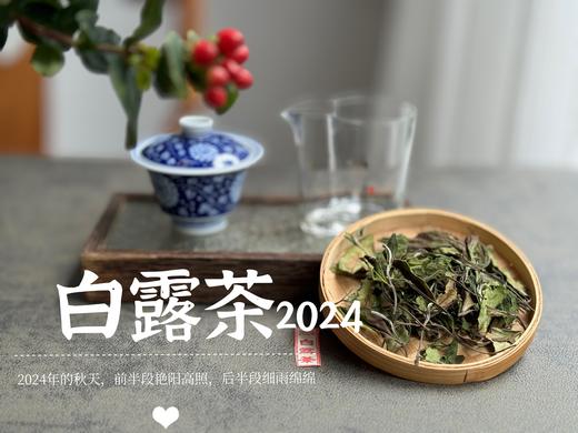 【2024白露茶】清新沁凉，带着清鲜之山野气韵的甜花香，空灵、甜美（1斤收藏装） 商品图7