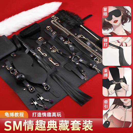 【情趣用品】谜姬 SM捆绑甄选21件套 商品图1