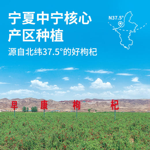 早康元杞满满枸杞原浆礼盒 30ml*60袋红枸杞原浆 商品图3