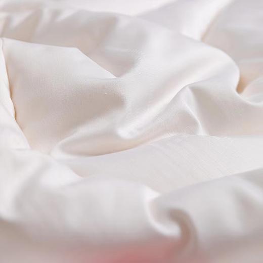 6F堂皇家纺如意大豆抗菌春秋被 商品图3