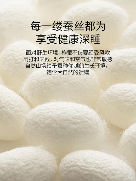 佳丽斯100%蚕丝被子全棉纯棉春秋被冬被四季通用加厚被芯2024新款 商品图1