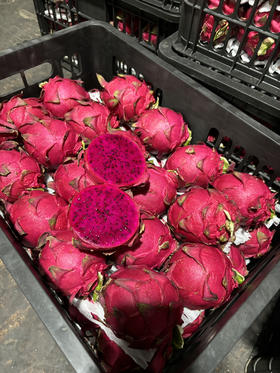 8.8元3个海南红心火龙果