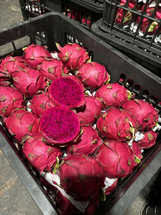 8.8元3个海南红心火龙果 商品图0