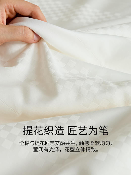 佳丽斯100%蚕丝被子全棉纯棉春秋被冬被四季通用加厚被芯2024新款 商品图6