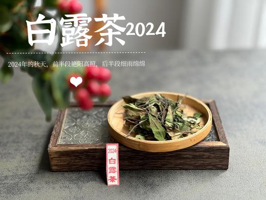【2024白露茶】清新沁凉，带着清鲜之山野气韵的甜花香，空灵、甜美（1斤收藏装） 商品图3