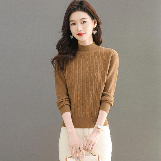 CC-101-36803半高领纯色毛衣女士秋冬2024新款洋气百搭针织打底衫内搭 商品图0
