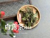 【2024白露茶】清新沁凉，带着清鲜之山野气韵的甜花香，空灵、甜美（1斤收藏装） 商品缩略图0
