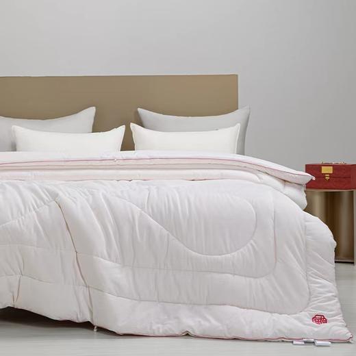 6F堂皇家纺如意大豆抗菌春秋被 商品图1