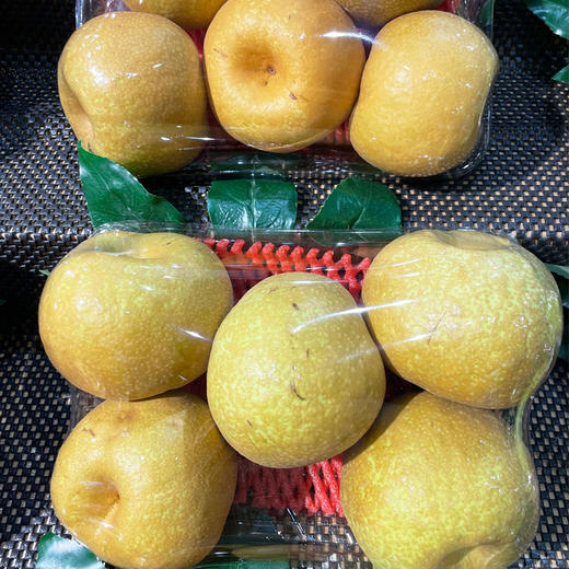 大黄梨 1000g/份 商品图0
