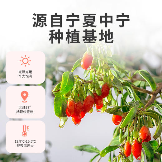 早康锁鲜枸杞150g*2罐 商品图1