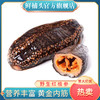 【鲜捕头】红极参 营养丰富 黄金内劲 即食 口感劲道 2斤 商品缩略图0