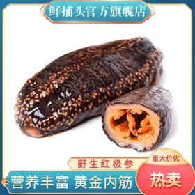 【鲜捕头】红极参 营养丰富 黄金内劲 即食 口感劲道 2斤