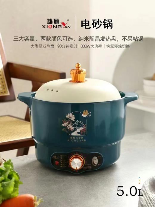 雄雁陶瓷快速电砂锅5L 商品图0