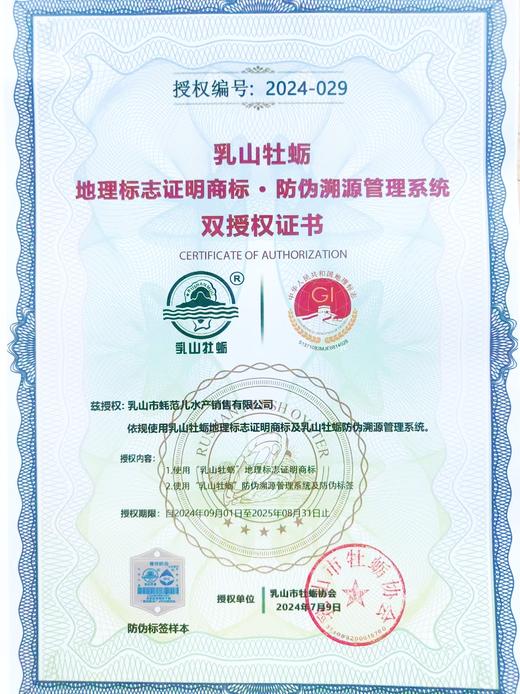 生鲜【乳山生蚝】个体大 肥度高 肉质好 味鲜美  一箱净重约5斤 送吃蚝三件套（手套 刀子 芥末） 山东顺丰包邮{冷冻生鲜请及时签收} 商品图3