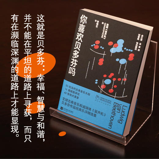 你喜欢贝多芬吗 商品图1